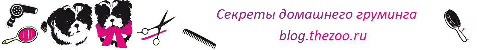 Пошаговый обучающий видеокурс “груминг йоркширского терьера”