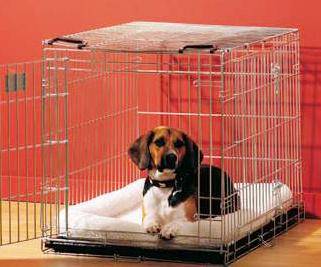 клетка для собак, для чего нужна клетка для собак, клетка на выставке, плюсы клетки для собак, как выбрать клетку для собак
